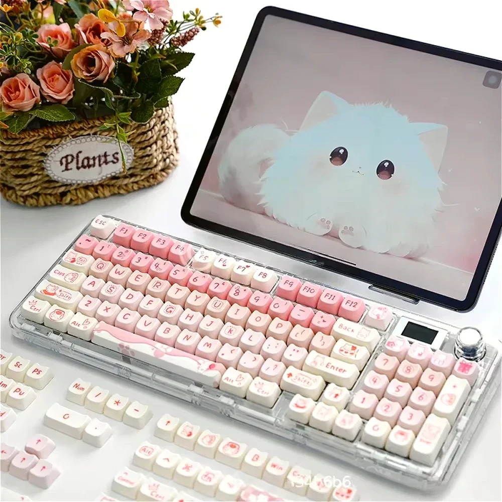 Розовый колпачок для котенка,  – обзор и цена Pc Gaming Pink